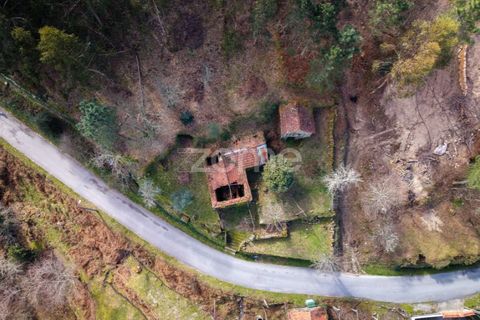 Villa i Cinfaes, Viseu, Cinfaes - € 59.000 | Ref: ZMPT586807 - foto 8
