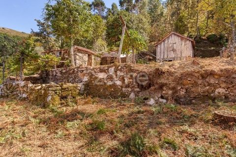 Villa i Cinfaes, Viseu, Cinfaes - € 59.000 | Ref: ZMPT586807 - foto 9