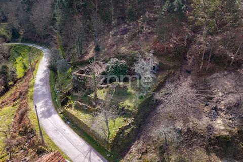 Villa i Cinfaes, Viseu, Cinfaes - € 59.000 | Ref: ZMPT586807 - foto 11