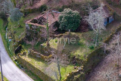 Villa i Cinfaes, Viseu, Cinfaes - € 59.000 | Ref: ZMPT586807 - foto 10