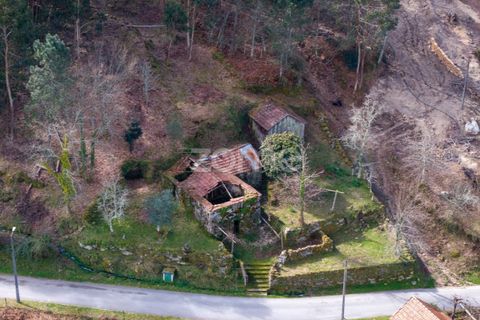 Villa i Cinfaes, Viseu, Cinfaes - € 59.000 | Ref: ZMPT586807 - foto 12