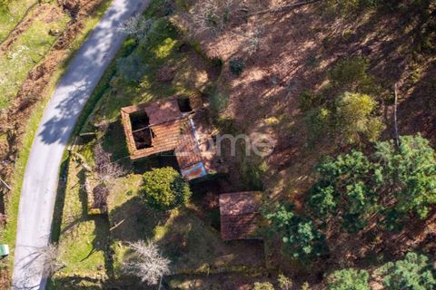 Villa i Cinfaes, Viseu, Cinfaes - € 59.000 | Ref: ZMPT586807 - foto 13