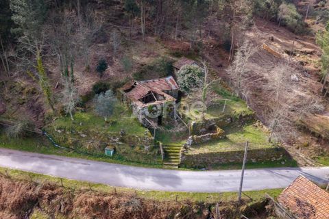 Villa i Cinfaes, Viseu, Cinfaes - € 59 000 | Ref: ZMPT586807 - foto 9