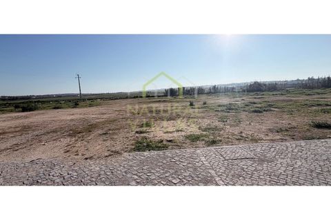 Helårsgrund i Lagoa, Faro, Lagoa - € 175.000 | Ref: V30046_VEND - foto 6