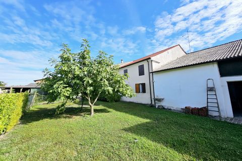 Villa i Merlara, Padua, Merlara - € 87.000 | Ref: BIF 490 - foto 19