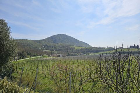 Villa i Cinto Euganeo, Padua, Cinto Euganeo - € 170.000 | Ref: BIF 491 - foto 7