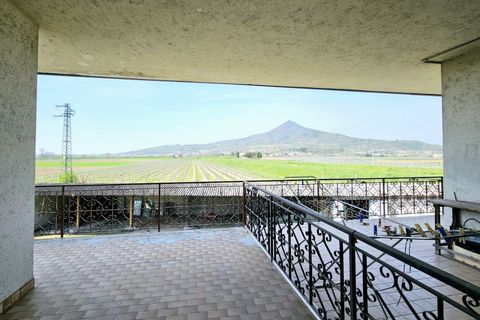 Villa i Cinto Euganeo, Padua, Cinto Euganeo - € 170.000 | Ref: BIF 491 - foto 16