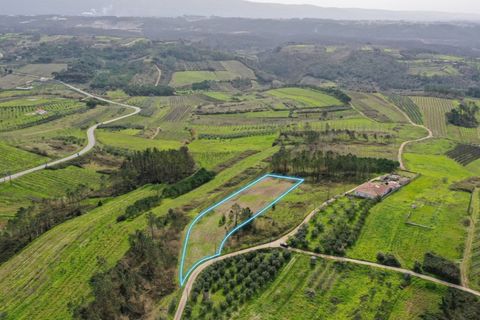 Helårsgrund i Alcobaca, Leiria, Alcobaca - € 65.000 | Ref: 019/2026.PA - foto 1