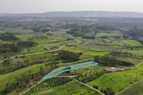 Helårsgrund i Alcobaca, Leiria, Alcobaca - € 65.000 | Ref: 019/2026.PA - foto 2