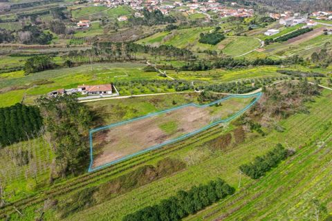 Helårsgrund i Alcobaca, Leiria, Alcobaca - € 65.000 | Ref: 019/2026.PA - foto 3