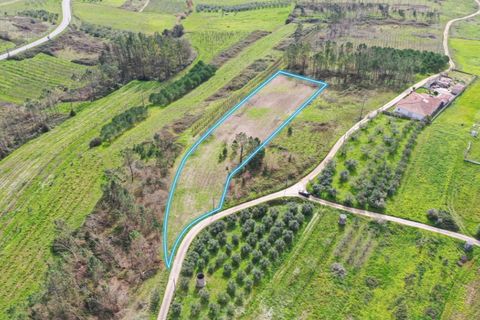 Helårsgrund i Alcobaca, Leiria, Alcobaca - € 65.000 | Ref: 019/2026.PA - foto 4