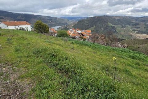 Terra a Armamar, Viseu, Armamar - € 85.000 | Ref: 847188 - foto 3