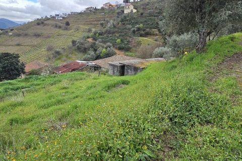 Terra a Armamar, Viseu, Armamar - € 85.000 | Ref: 847188 - foto 10