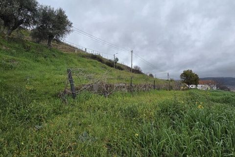 Terra a Armamar, Viseu, Armamar - € 85.000 | Ref: 847188 - foto 19