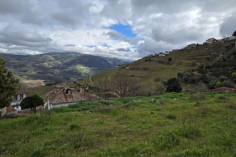 Terra a Armamar, Viseu, Armamar - € 85.000 | Ref: 847188 - foto 20