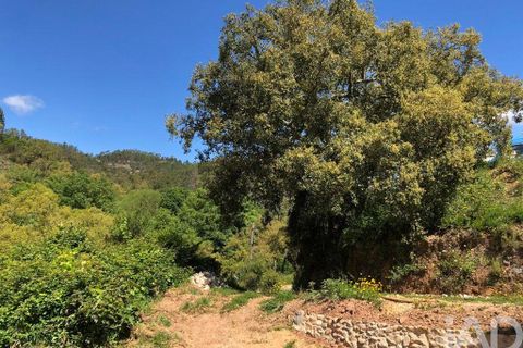 Byhus i Monchique, Faro, Monchique - € 495.000 | Ref: 848166 - foto 20