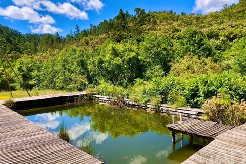 Byhus i Monchique, Faro, Monchique - € 495.000 | Ref: 848166 - foto 21