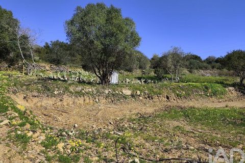 Tomt i Mafra, Lisbon, Mafra - € 25 000 | Ref: 834454 - foto 2