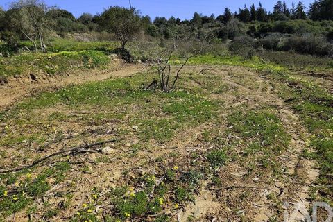 Tomt i Mafra, Lisbon, Mafra - € 25 000 | Ref: 834454 - foto 3
