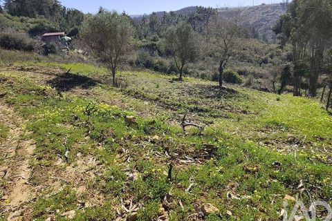 Tomt i Mafra, Lisbon, Mafra - € 25 000 | Ref: 834454 - foto 6
