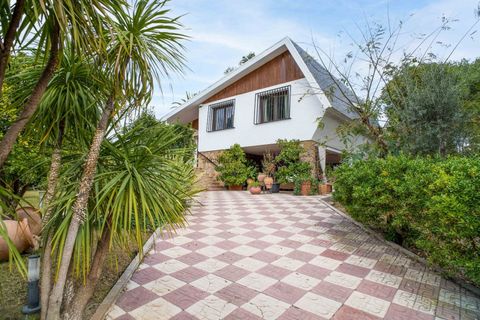 Villa a Petrer, Alicante, Petrer - € 490.000 | Ref: ANN-R172 - foto 4