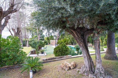 Villa a Petrer, Alicante, Petrer - € 490.000 | Ref: ANN-R172 - foto 6