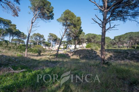 Helårsgrund i Pals, Gerona, Pals - € 275.000 | Ref: 1561/9569 - foto 1