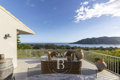 Villa a Porto-Vecchio, Corse-du-Sud, Porto-Vecchio - € 3.250.000 | Ref: RV2093 - foto 4