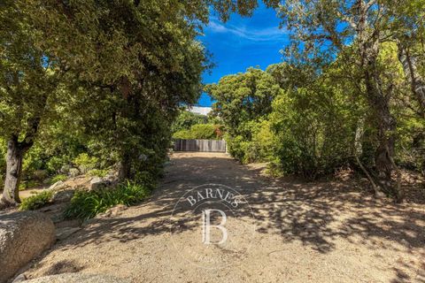 Villa a Porto-Vecchio, Corse-du-Sud, Porto-Vecchio - € 2.650.000 | Ref: RV2038 - foto 12