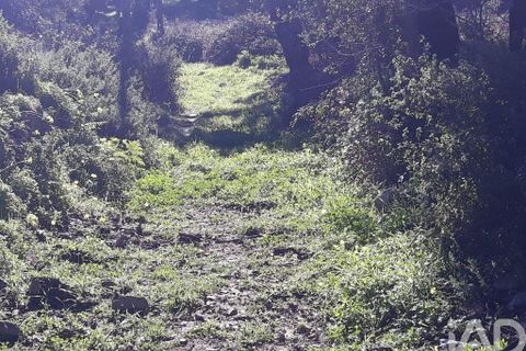Terra a Monchique, Faro, Monchique - € 17.000 | Ref: 849223 - foto 3