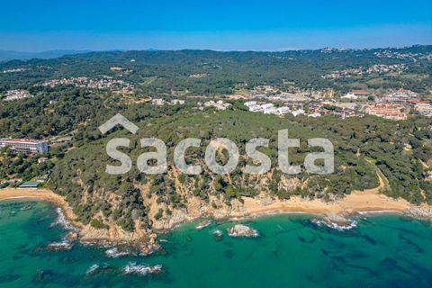 Rækkehus i Lloret De Mar, Gerona, Lloret De Mar - € 850.000 | Ref: C01LM-311/9374 - foto 44
