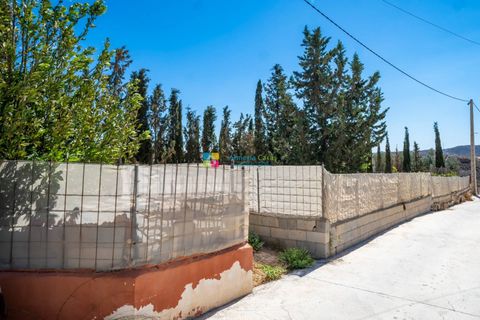 Landejendom i Cantoria, Almeria, Cantoria - € 240.000 | Ref: 2704 - foto 35