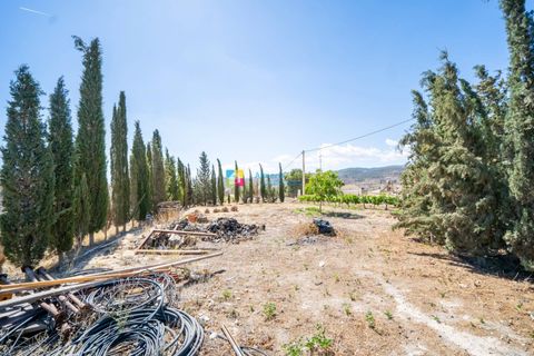 Landejendom i Cantoria, Almeria, Cantoria - € 240.000 | Ref: 2704 - foto 40