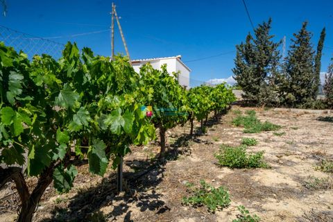 Landejendom i Cantoria, Almeria, Cantoria - € 240.000 | Ref: 2704 - foto 42