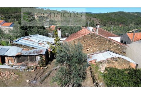 Landejendom i Castelo Branco, Castelo Branco, Castelo Branco - € 27.500 | Ref: 5518/EG - foto 4