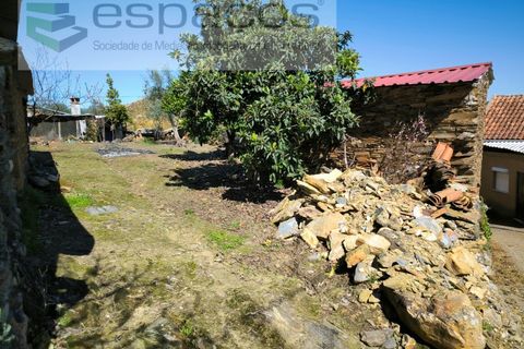 Landejendom i Castelo Branco, Castelo Branco, Castelo Branco - € 27.500 | Ref: 5518/EG - foto 7