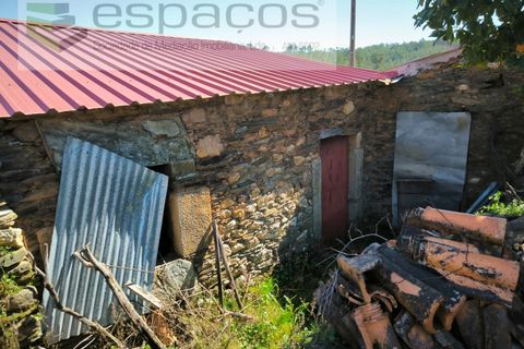 Landejendom i Castelo Branco, Castelo Branco, Castelo Branco - € 27.500 | Ref: 5518/EG - foto 9