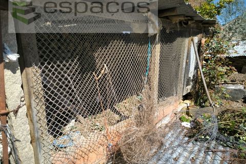 Landejendom i Castelo Branco, Castelo Branco, Castelo Branco - € 27.500 | Ref: 5518/EG - foto 10