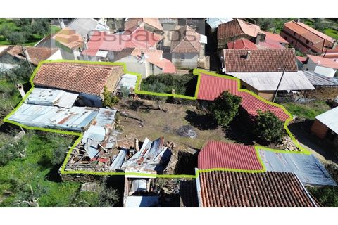 Landejendom i Castelo Branco, Castelo Branco, Castelo Branco - € 27.500 | Ref: 5518/EG - foto 16