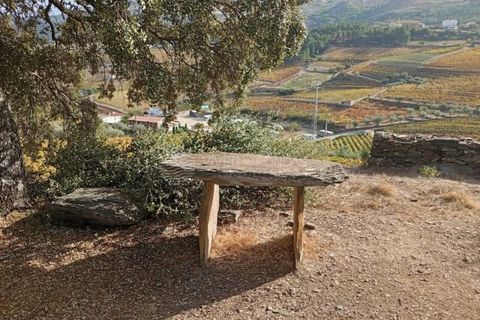 Gård i Tabuaco, Viseu, Tabuaco - € 355 000 | Ref: MF-RMR - foto 2