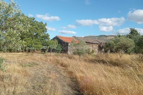 Gård i Tabuaco, Viseu, Tabuaco - € 355 000 | Ref: MF-RMR - foto 6