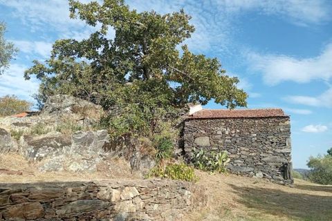 Gård i Tabuaco, Viseu, Tabuaco - € 355 000 | Ref: MF-RMR - foto 10