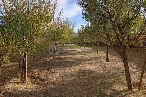 Gård i Tabuaco, Viseu, Tabuaco - € 355 000 | Ref: MF-RMR - foto 13