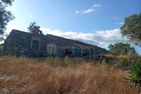 Gård i Tabuaco, Viseu, Tabuaco - € 355 000 | Ref: MF-RMR - foto 14
