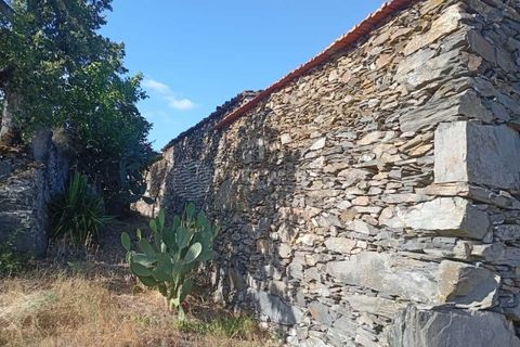 Gård i Tabuaco, Viseu, Tabuaco - € 355 000 | Ref: MF-RMR - foto 15