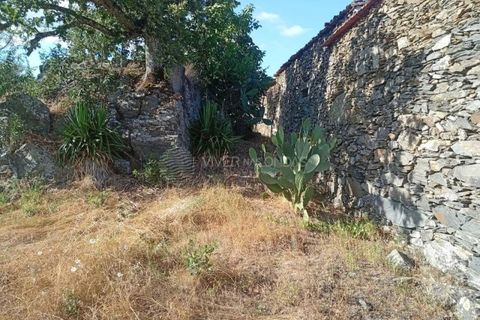 Gård i Tabuaco, Viseu, Tabuaco - € 355 000 | Ref: MF-RMR - foto 16