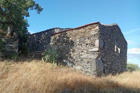 Gård i Tabuaco, Viseu, Tabuaco - € 355 000 | Ref: MF-RMR - foto 17