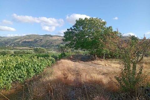 Gård i Tabuaco, Viseu, Tabuaco - € 355 000 | Ref: MF-RMR - foto 21