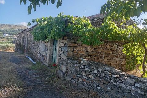Gård i Tabuaco, Viseu, Tabuaco - € 355 000 | Ref: MF-RMR - foto 22