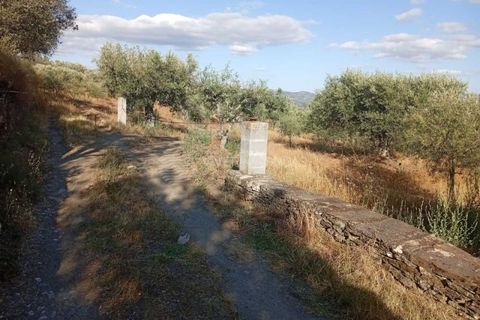 Gård i Tabuaco, Viseu, Tabuaco - € 355 000 | Ref: MF-RMR - foto 24